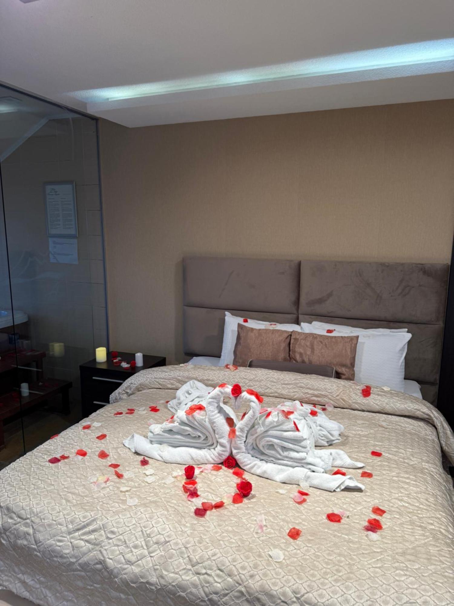 Guest House Panorama Aqualux With Free Parking Novi Sad Buitenkant foto