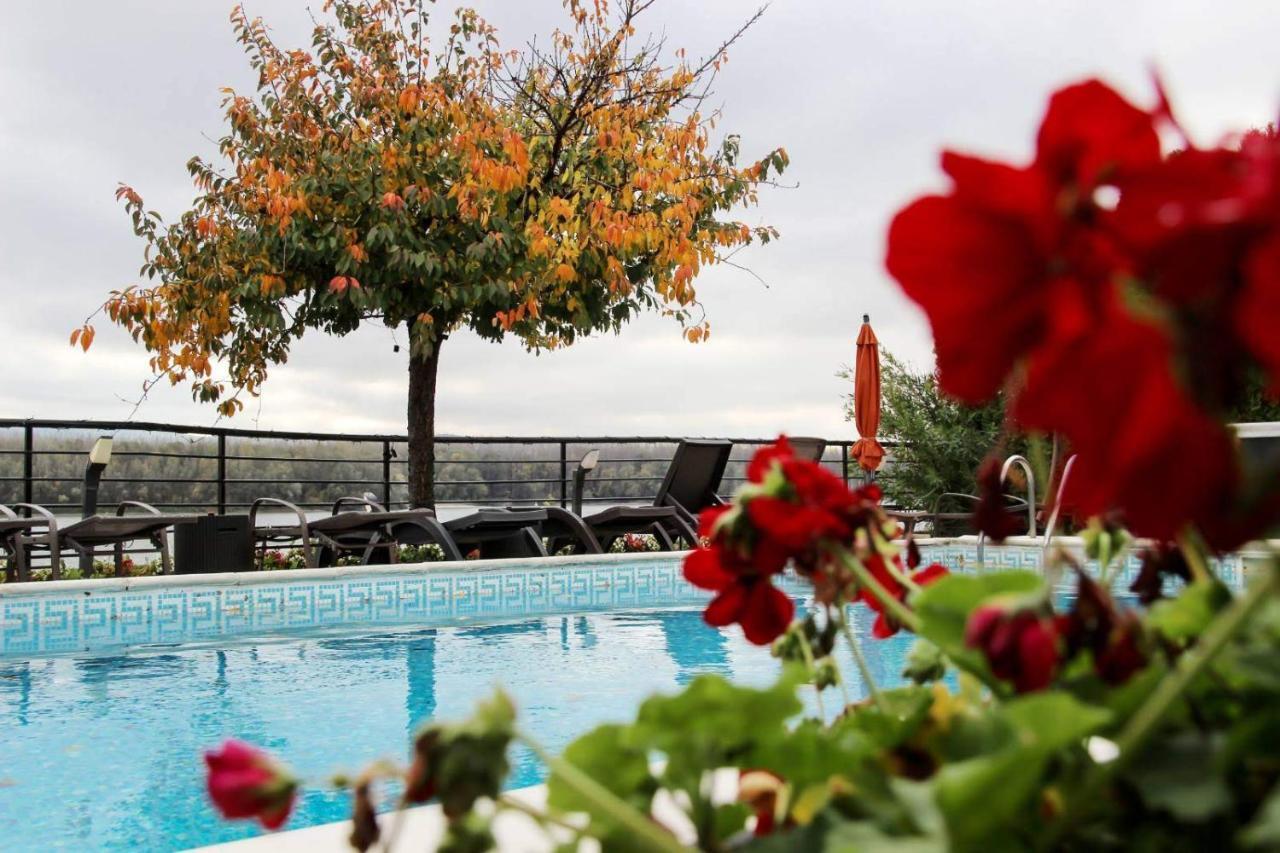 Guest House Panorama Aqualux With Free Parking Novi Sad Buitenkant foto